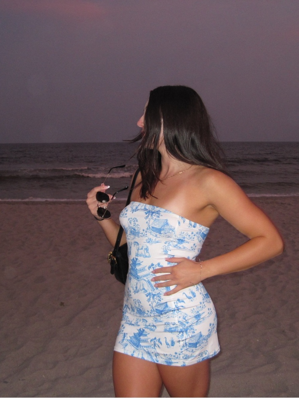 Strapless Blue & White Toile Mini Dress